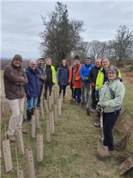 Plant a Native Hedgerow at Baldhorn Park